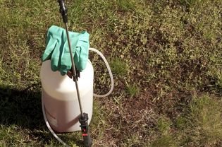 Pulverizing herbicide