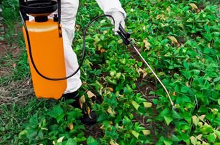 person applying pesticides