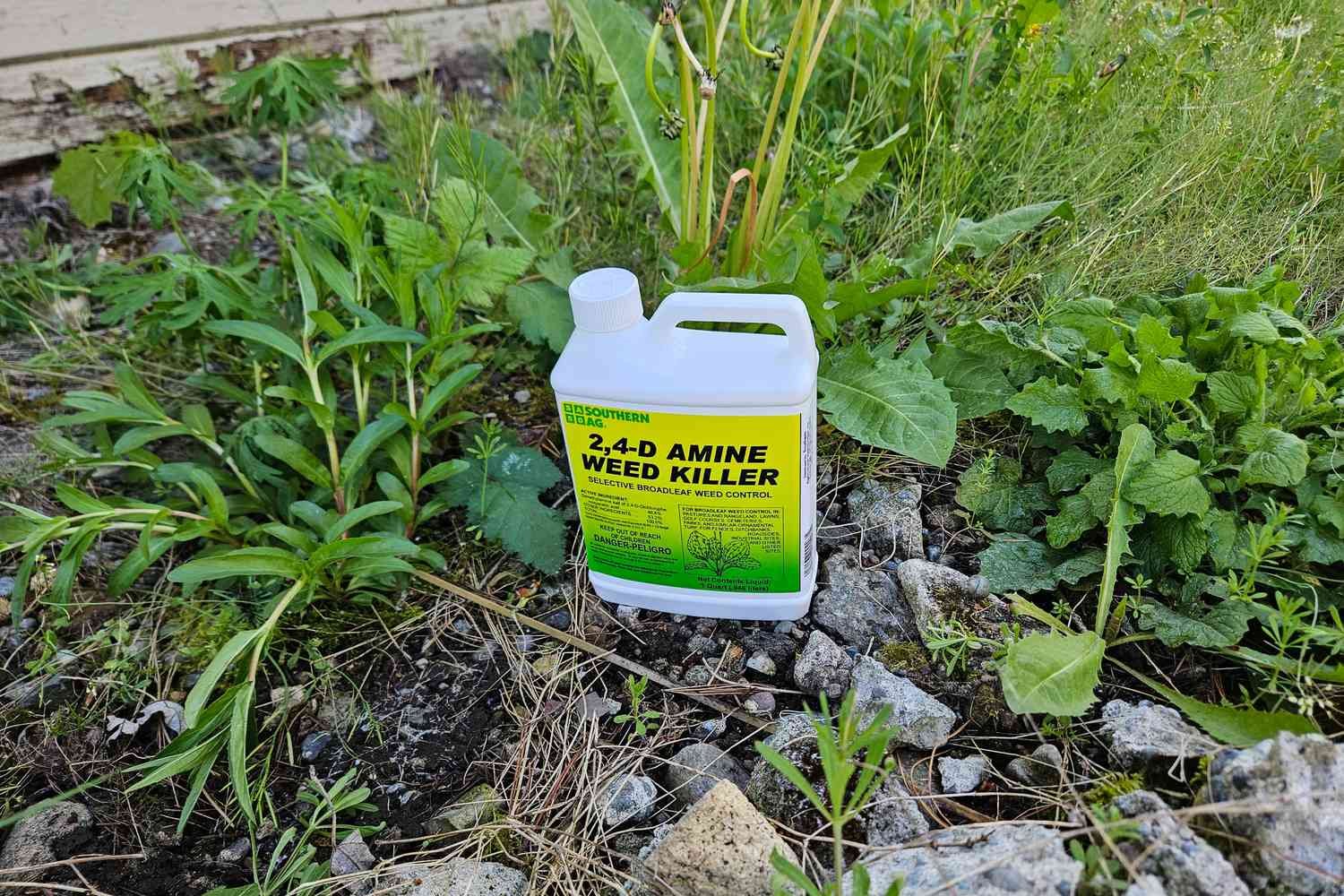 A bottle of Southern Ag Amine 2,4-D Weed Killer surrounded by weeds